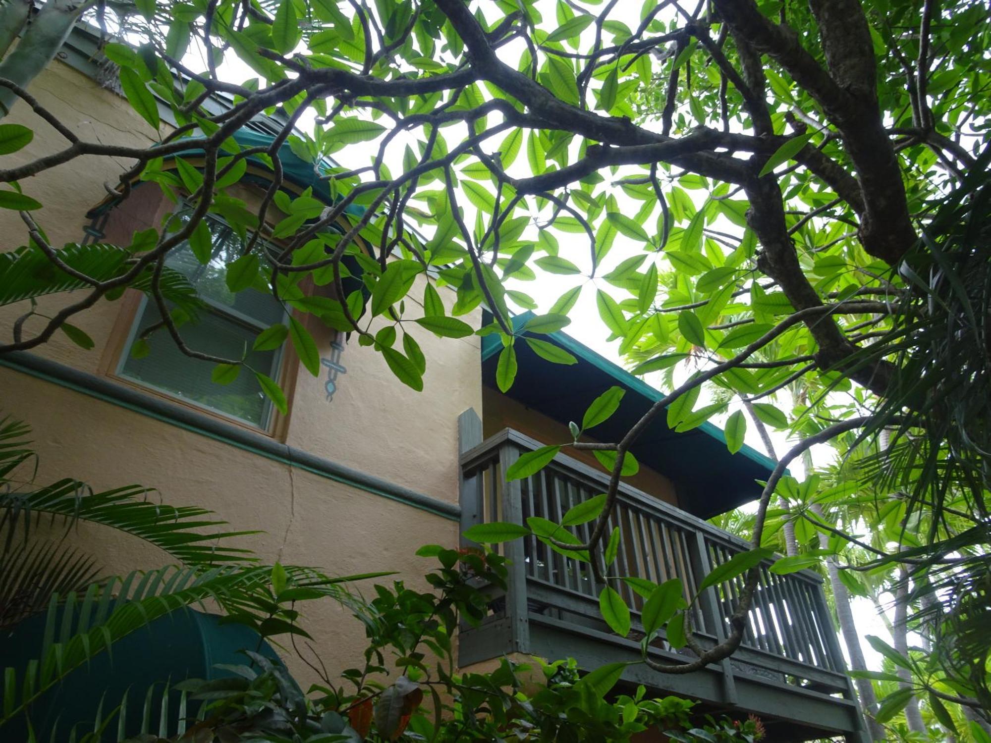 Suite Dreams Inn By The Beach Key West Extérieur photo
